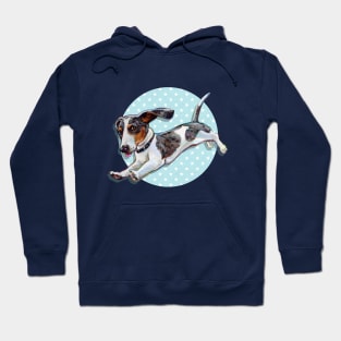 Cute Dachshund Pattern by Robert Phelps Hoodie